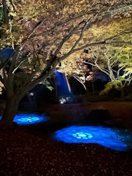 国営昭和記念公園 秋の夜散歩に投稿された画像(2025/12/7)