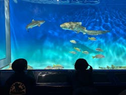 アクアワールド茨城県大洗水族館に投稿された画像(2025/12/7)