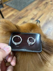 Countless River(カウントレスリバー)に投稿された画像(2025/12/7)