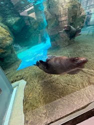 京都水族館に投稿された画像(2025/12/7)
