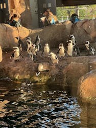 京都水族館に投稿された画像(2025/12/7)