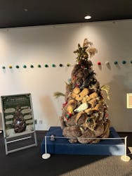 京都水族館に投稿された画像(2025/12/7)