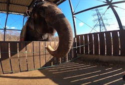 那須ワールドモンキーパークに投稿された画像(2025/12/7)