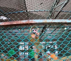 那須ワールドモンキーパークに投稿された画像(2025/12/7)