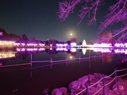 東武動物公園に投稿された画像(2025/12/7)