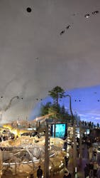 福井県立恐竜博物館に投稿された画像(2025/12/7)