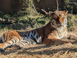 日立市かみね動物園に投稿された画像(2025/12/7)