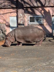 日立市かみね動物園に投稿された画像(2025/12/7)