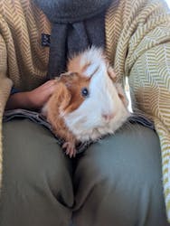 日立市かみね動物園に投稿された画像(2025/12/7)