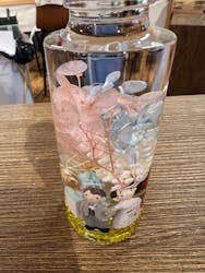 伊勢夫婦岩めおと横丁 めおと岩アクティビティに投稿された画像(2025/12/7)