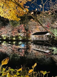 名古屋市東山動植物園に投稿された画像(2025/12/7)