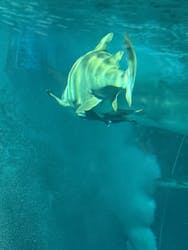 マリンワールド海の中道に投稿された画像(2025/12/7)