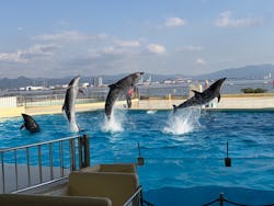 マリンワールド海の中道に投稿された画像(2025/12/7)