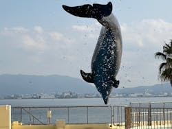 マリンワールド海の中道に投稿された画像(2025/12/7)
