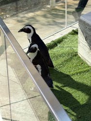 マリンワールド海の中道に投稿された画像(2025/12/7)