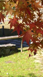 名古屋市東山動植物園に投稿された画像(2025/12/7)