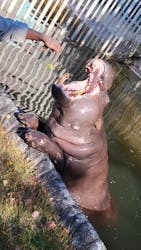 名古屋市東山動植物園に投稿された画像(2025/12/7)