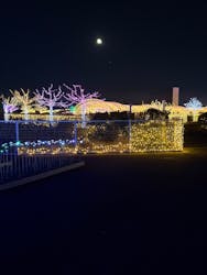 東京メガイルミに投稿された画像(2025/12/7)