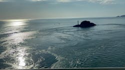 徳島県立 渦の道に投稿された画像(2025/12/7)