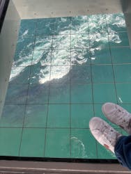 徳島県立 渦の道に投稿された画像(2025/12/7)