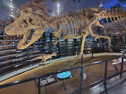 福井県立恐竜博物館に投稿された画像(2025/12/7)