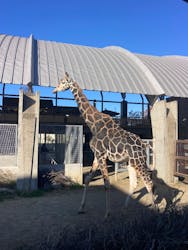 霞ケ浦 どうぶつとみんなのいえに投稿された画像(2025/12/7)