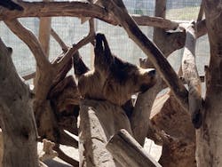 霞ケ浦 どうぶつとみんなのいえに投稿された画像(2025/12/7)