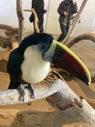 霞ケ浦 どうぶつとみんなのいえに投稿された画像(2025/12/7)