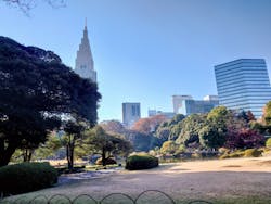 新宿御苑に投稿された画像(2025/12/7)