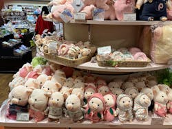 天然温泉 花鳥風月に投稿された画像(2025/12/7)