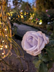 ひらかたパークに投稿された画像(2025/12/7)