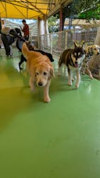 つくばわんわんランドに投稿された画像(2025/12/7)