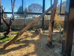 日立市かみね動物園に投稿された画像(2025/12/7)