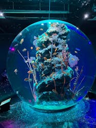 阪神・淡路大震災30年 大ゴッホ展 夜のカフェテラスに投稿された画像(2025/12/7)