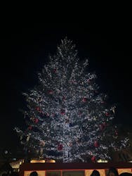 Christmas Market in 横浜赤レンガ倉庫 2025に投稿された画像(2025/12/7)