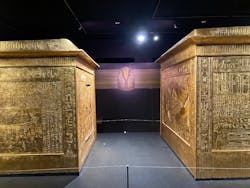 MYSTERY OF TUTANKHAMEN 体感型古代エジプト展に投稿された画像(2025/12/7)