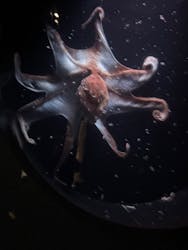 環境水族館アクアマリンふくしまに投稿された画像(2025/12/7)