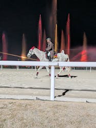 東京メガイルミに投稿された画像(2025/12/7)