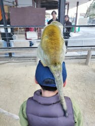 宇都宮動物園に投稿された画像(2025/12/7)
