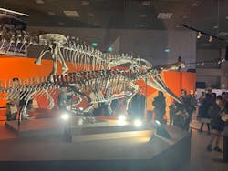 特別展「大絶滅展―生命史のビッグファイブ」に投稿された画像(2025/12/7)