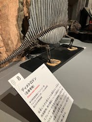 特別展「大絶滅展―生命史のビッグファイブ」に投稿された画像(2025/12/7)