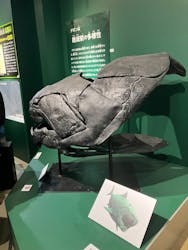 特別展「大絶滅展―生命史のビッグファイブ」に投稿された画像(2025/12/7)