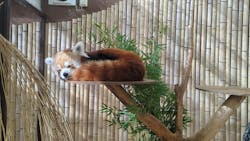 熱川バナナワニ園に投稿された画像(2025/12/7)