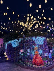 ひらかたパークに投稿された画像(2025/12/7)