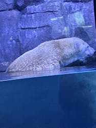 横浜・八景島シーパラダイス プレジャーランドに投稿された画像(2025/12/8)