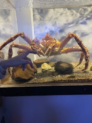 横浜・八景島シーパラダイス プレジャーランドに投稿された画像(2025/12/8)