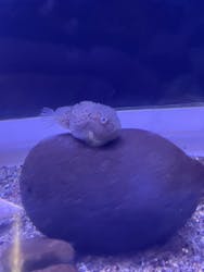 横浜・八景島シーパラダイス プレジャーランドに投稿された画像(2025/12/8)