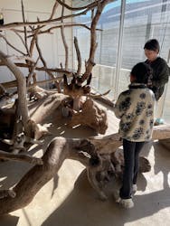 霞ケ浦 どうぶつとみんなのいえに投稿された画像(2025/12/8)