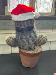 伊豆シャボテン動物公園に投稿された画像(2025/12/8)