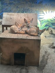 伊豆シャボテン動物公園に投稿された画像(2025/12/8)